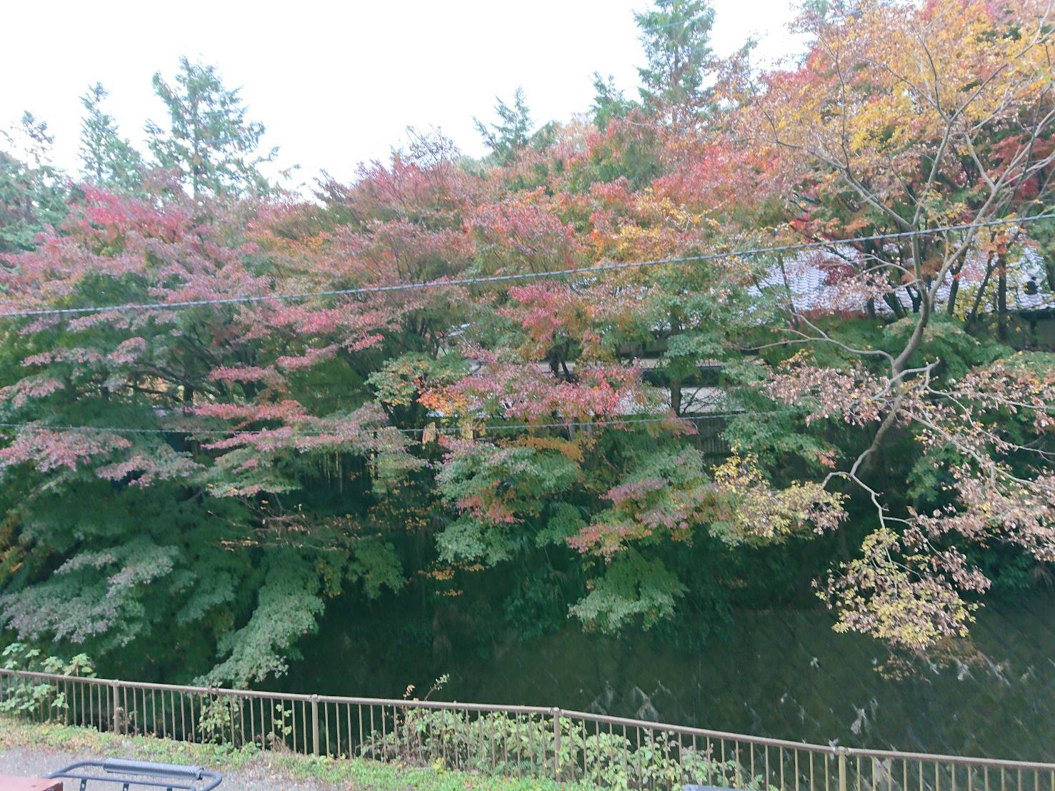 11.20 - 11.20