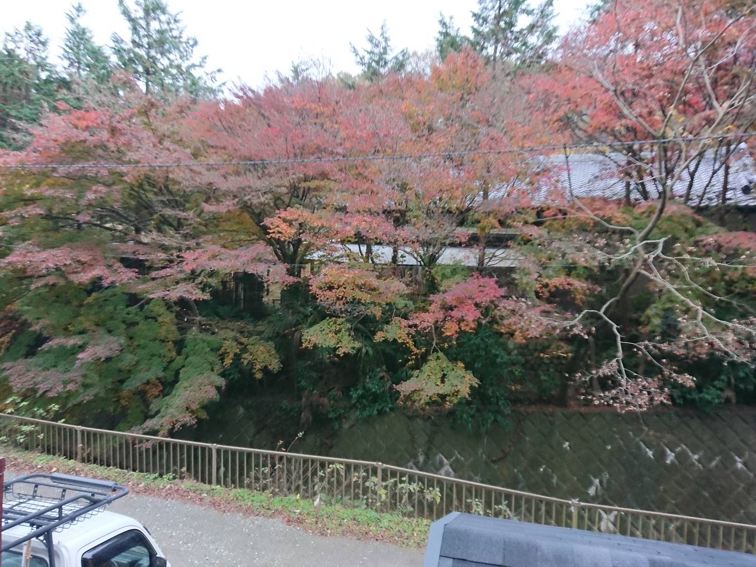 12.3 - 12.3